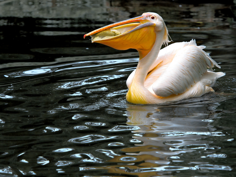 P6094007_edited4.jpg