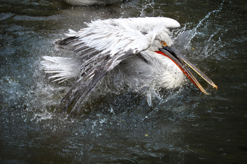 P9260477_edited3.jpg