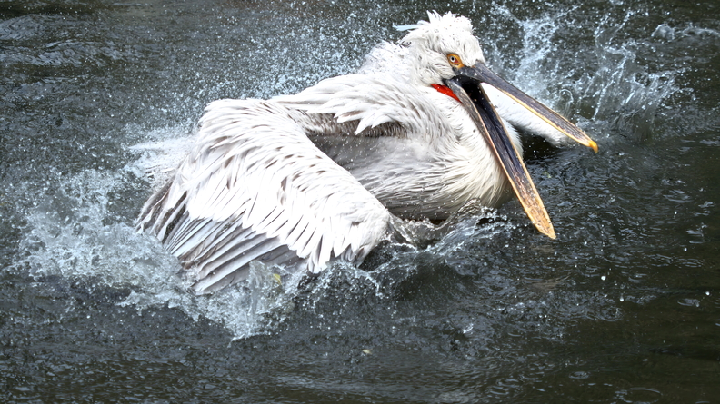 P9260480_edited1.jpg
