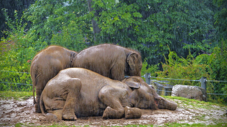 P8270074_edited.jpg