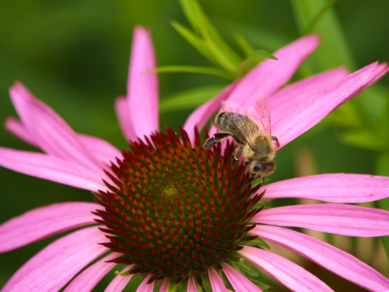 P6286876_edited.png